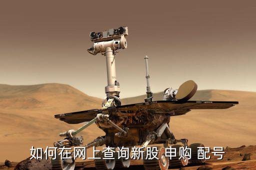 如何在網(wǎng)上查詢(xún)新股 申購(gòu) 配號(hào)