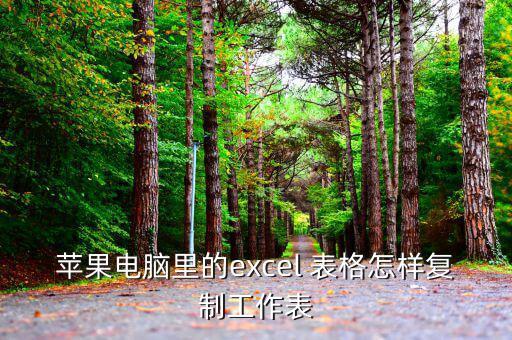 蘋果電腦里的excel 表格怎樣復制工作表