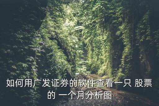 如何用廣發(fā)證劵的軟件查看一只 股票的 一個月分析圖