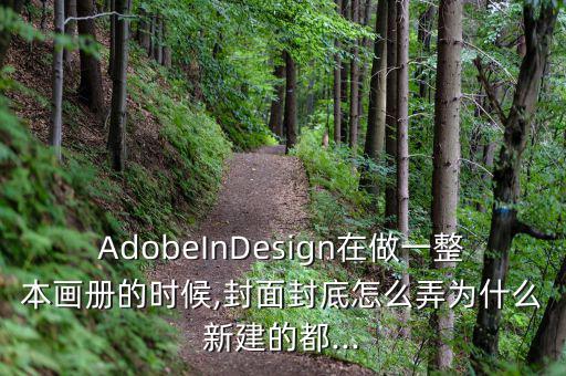 AdobeInDesign在做一整本畫冊的時候,封面封底怎么弄為什么新建的都...