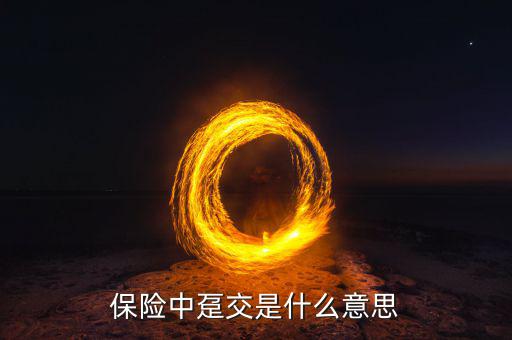 保險(xiǎn)中躉交是什么意思