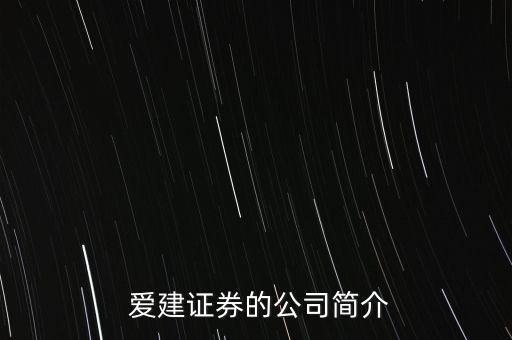  愛建證券的公司簡介