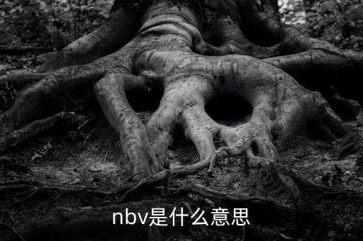 保險(xiǎn)nbv是什么意思，nbv是什么意思