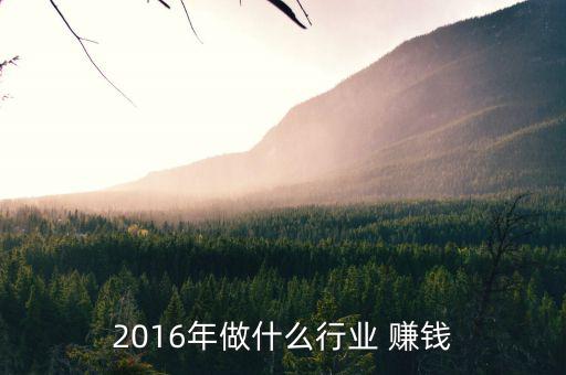 2016年了我們該怎么賺錢,互聯(lián)網(wǎng)如何發(fā)展?