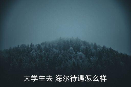 大學(xué)生去 海爾待遇怎么樣