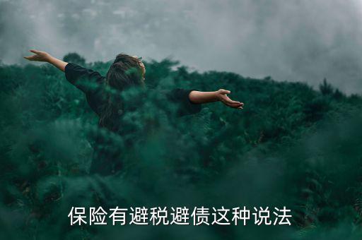 保險(xiǎn)有避稅避債這種說法