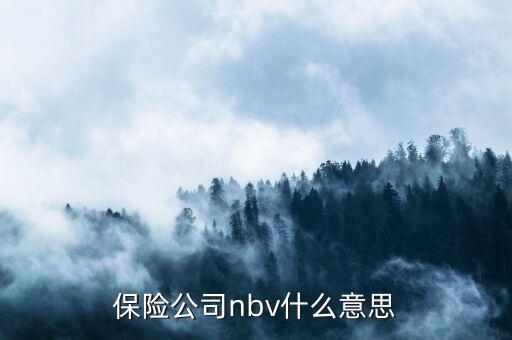 保險公司nbv什么意思