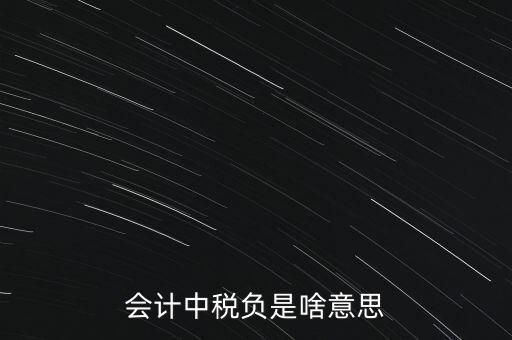 稅負是什么意思，會計中稅負是啥意思