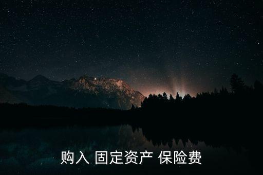 購入 固定資產(chǎn) 保險費