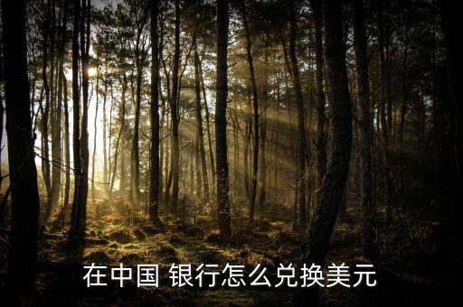 怎么在銀行換外幣,中國(guó)銀行在線客服:外幣兌換貨幣非常簡(jiǎn)單