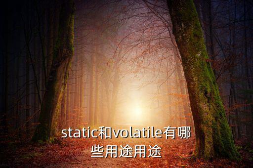 vtm有什么用，static和volatile有哪些用途用途