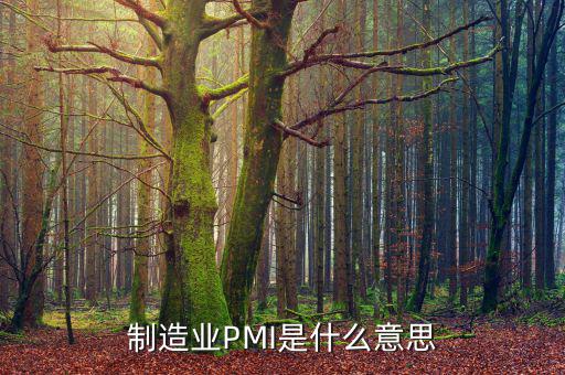 制造業(yè)PMI是什么意思