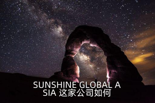 永信亞洲有限公司主要業(yè)務(wù)是什么，SUNSHINE GLOBAL ASIA 這家公司如何