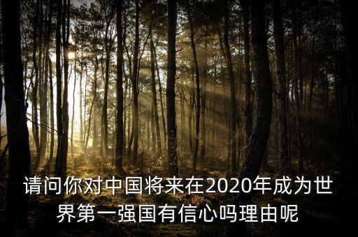 請問你對中國將來在2020年成為世界第一強國有信心嗎理由呢