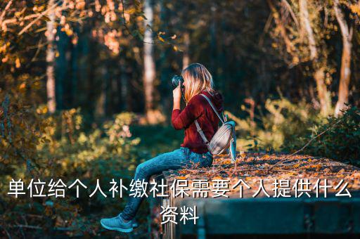 單位給個人補(bǔ)繳社保需要個人提供什么資料