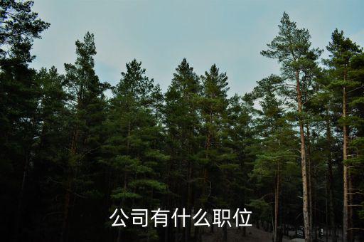 復(fù)星集團(tuán)核心崗位是什么，公司有什么職位