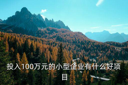 什么企業(yè)愛投資項目，投入100萬元的小型企業(yè)有什么好項目