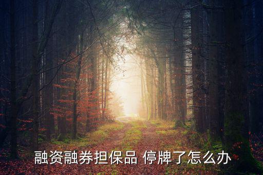 融資停牌怎么辦,標的證券暫停交易融資融券怎么辦?