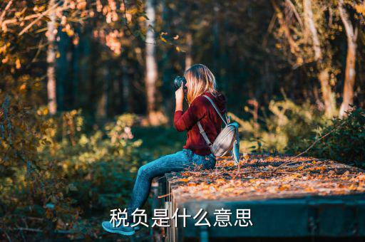 稅負(fù)是什么意思