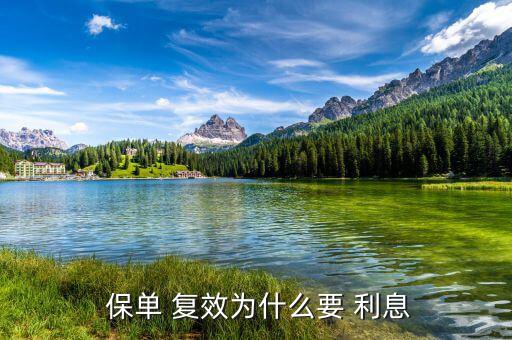 保單復(fù)效利息怎么算,保單復(fù)效:不會(huì)產(chǎn)生新保單但受影響