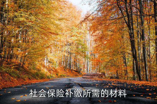 社會保險補(bǔ)繳所需的材料