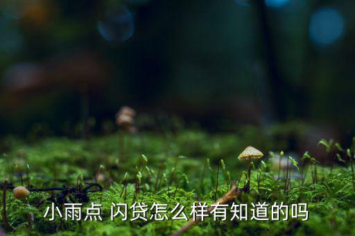 小雨點(diǎn) 閃貸怎么樣有知道的嗎