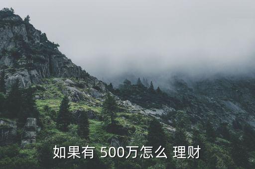 500萬元錢怎么投資理財,理財新規(guī)劃