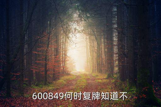 儀電b股什么時(shí)候復(fù)牌，600849何時(shí)復(fù)牌知道不