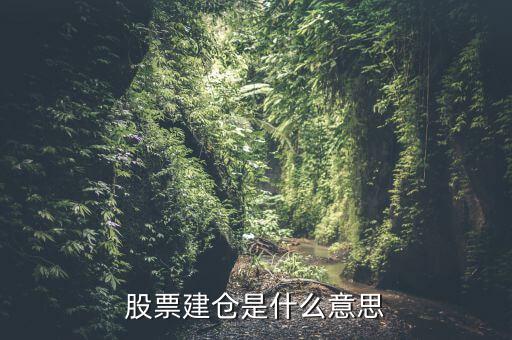 股票建倉(cāng)是什么意思