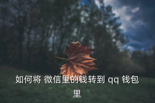 如何將 微信里的錢轉(zhuǎn)到 qq 錢包里