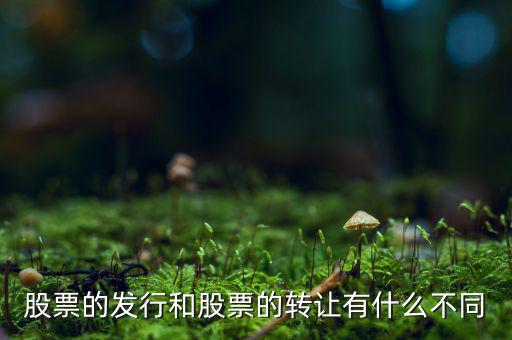 股票的發(fā)行和股票的轉(zhuǎn)讓有什么不同