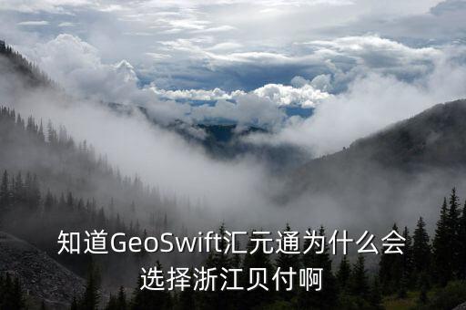 知道GeoSwift匯元通為什么會選擇浙江貝付啊