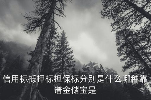 擔保標是什么意思，信用標抵押標擔保標分別是什么哪種靠譜金儲寶是