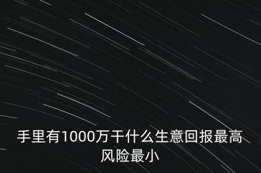 1000萬投資什么生意，手里有1000萬干什么生意回報最高風險最小