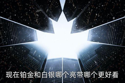 什么白銀最亮，哪種銀子最好