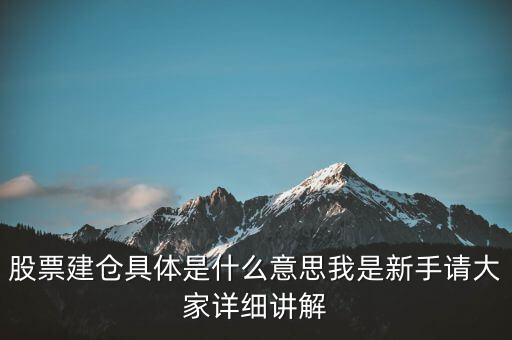 股票建倉(cāng)具體是什么意思我是新手請(qǐng)大家詳細(xì)講解