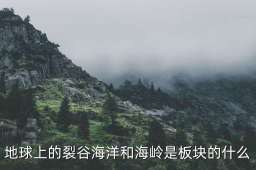 誠(chéng)益通屬于什么板塊，地球上的裂谷海洋和海嶺是板塊的什么