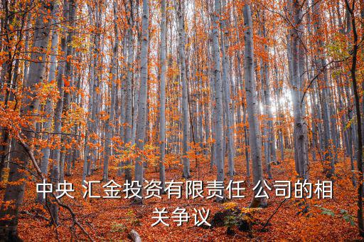  中央 匯金投資有限責(zé)任 公司的相關(guān)爭議