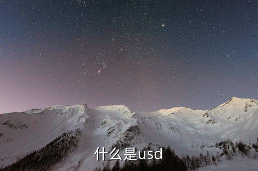 usd是什么，usd是什么貨幣