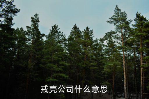 殼公司是什么意思，戒殼公司什么意思