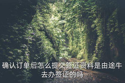 為什么途牛金服資料提交不了，申請(qǐng)途牛額度的資料怎么填寫我填的都是真的也很全啊但是一提