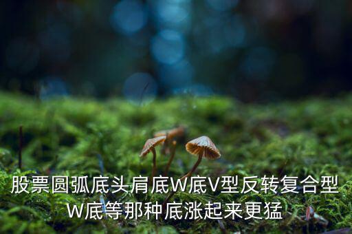 股票圓弧底頭肩底W底V型反轉(zhuǎn)復(fù)合型W底等那種底漲起來更猛