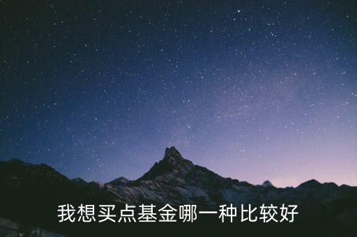 我想買(mǎi)點(diǎn)基金哪一種比較好