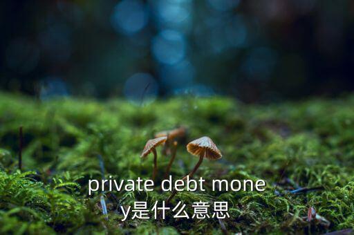 private debt money是什么意思