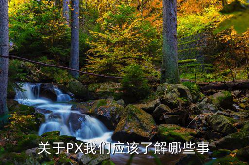 px項(xiàng)目是干什么的，關(guān)于PX我們應(yīng)該了解哪些事