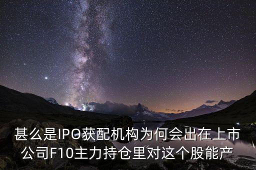 ipo獲配機構(gòu)什么意思，ipo配售是什么意思