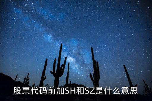 股票代碼前加SH和SZ是什么意思