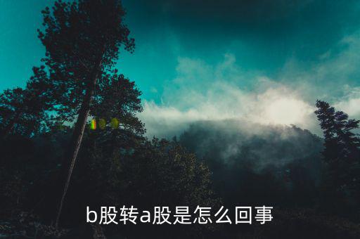 b股轉(zhuǎn)a股是什么意思，b轉(zhuǎn)a股是什么意思