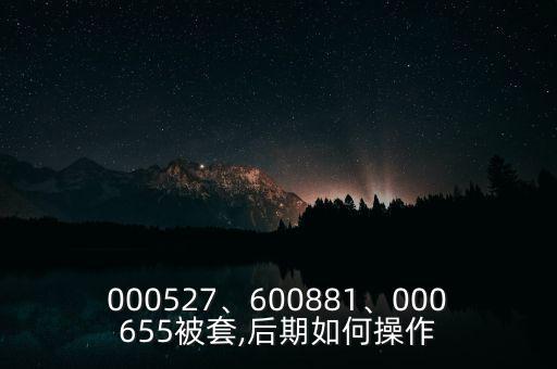 000527、600881、000655被套,后期如何操作