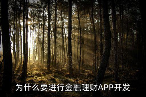 為什么要進(jìn)行金融理財(cái)APP開發(fā)